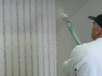 vermiplaster